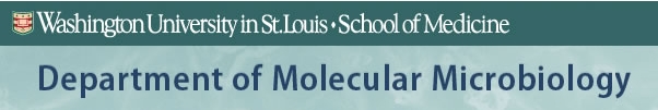Department of Molecular Microbiology, Washington University in St. Louis, School of Medicine